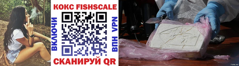 КОКАИН Fish Scale  Купить закладки  Мирный 