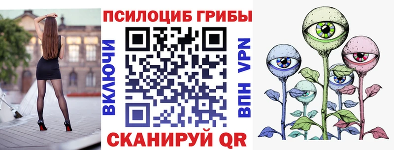 Купить где  Мирный  Галлюциногенные грибы Magic Shrooms 